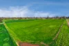 636 Graham Road, Kyabram, Vic 3620-Image