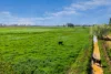 636 Graham Road, Kyabram, Vic 3620-Image