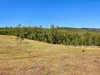 636 Kooralgin Mount Binga Road, Mount Binga, Qld 4314-Image