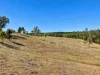 636 Kooralgin Mount Binga Road, Mount Binga, Qld 4314-Image