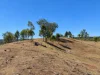 636 Kooralgin Mount Binga Road, Mount Binga, Qld 4314-Image