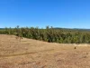 636 Kooralgin Mount Binga Road, Mount Binga, Qld 4314-Image