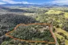 636 Yowrie Road, Yowrie, NSW 2550-Image