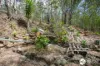 64 Earth First Road, Mungay Creek, NSW 2440-Image