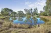 644 Baringhup West Road, Baringhup West, Vic 3463-Image
