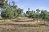 644 Baringhup West Road, Baringhup West, Vic 3463-Image