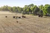 644 Baringhup West Road, Baringhup West, Vic 3463-Image