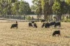 644 Baringhup West Road, Baringhup West, Vic 3463-Image