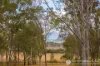 645 Ganthorpe Road, Coochin, Qld 4310-Image