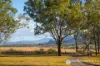 645 Ganthorpe Road, Coochin, Qld 4310-Image