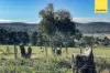 648-764 Gisborne-Melton Road, Toolern Vale, Vic 3337-Image
