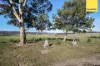 648-764 Gisborne-Melton Road, Toolern Vale, Vic 3337-Image