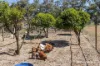 65 Baramba Road, Karakin, WA 6044-Image