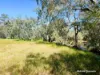 65 Baramba Road, Karakin, WA 6044-Image