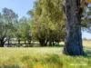 65 Baramba Road, Karakin, WA 6044-Image