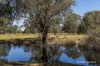 65 Baramba Road, Karakin, WA 6044-Image
