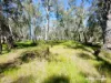 65 Baramba Road, Karakin, WA 6044-Image
