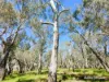 65 Baramba Road, Karakin, WA 6044-Image