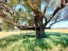 65 Baramba Road, Karakin, WA 6044-Image