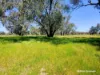 65 Baramba Road, Karakin, WA 6044-Image