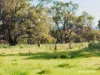 65 Baramba Road, Karakin, WA 6044-Image