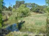 65 Maimuru Rd, Maimuru, NSW 2594-Image