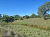 65 Maimuru Rd, Maimuru, NSW 2594-Image