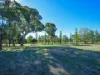 65 Maimuru Rd, Maimuru, NSW 2594-Image