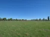 65 Maimuru Rd, Maimuru, NSW 2594-Image