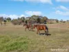 656 Duramana Road, Duramana, NSW 2795-Image
