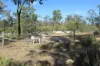 659 Joseph Road, Tara, Qld 4421-Image