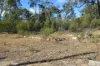 659 Joseph Road, Tara, Qld 4421-Image