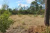 659 Joseph Road, Tara, Qld 4421-Image