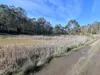 66 Kings Road, Bagdad, Tas 7030-Image