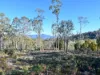 66 Kings Road, Bagdad, Tas 7030-Image