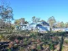 66 Kings Road, Bagdad, Tas 7030-Image