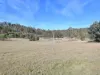 66 Kings Road, Bagdad, Tas 7030-Image