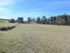 66 Kings Road, Bagdad, Tas 7030-Image