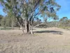 66 Kings Road, Bagdad, Tas 7030-Image
