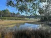 66 Kings Road, Bagdad, Tas 7030-Image