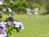 66 Kippax Road, Kippaxs, NSW 2429-Image