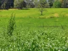 66 Kippax Road, Kippaxs, NSW 2429-Image