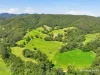 66 Kippax Road, Kippaxs, NSW 2429-Image