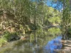 66 Kippax Road, Kippaxs, NSW 2429-Image