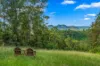 664 Scone Road, Copeland via, Gloucester NSW 2422-Image