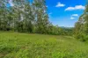 664 Scone Road, Copeland via, Gloucester NSW 2422-Image