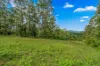 664 Scone Road, Copeland via, Gloucester, NSW 2422-Image