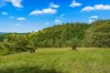 664 Scone Road, Copeland via, Gloucester NSW 2422-Image