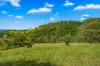 664 Scone Road, Copeland via, Gloucester, NSW 2422-Image