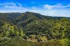 664 Scone Road, Copeland via, Gloucester NSW 2422-Image